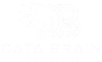 DataBrain IT Solutions